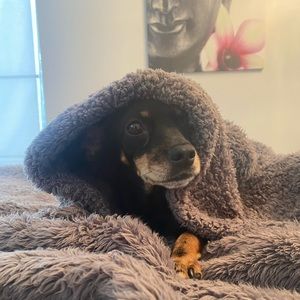 Meet your Posher, Nikki